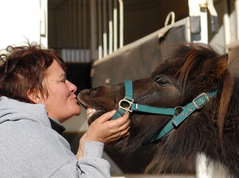 Horse-adoption-answers-Linda-Kisses-Trixie-2186MW.jpg