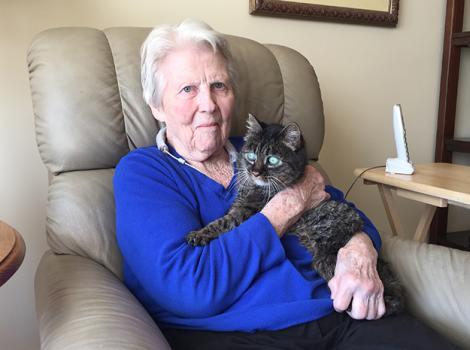 Senior-cat-adoption-1.jpg