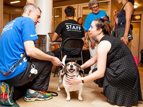 clear-shelters-7826_rs-blogbf.jpg