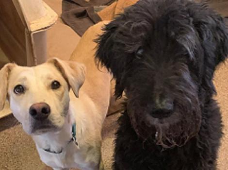 00Main image ZandH_resized.jpg