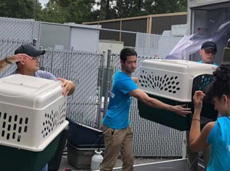 Hurricane-Dorian-WRAP-UP-people-loading-crates-courtesy-Charleston-Animal-Society.jpg