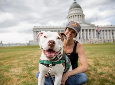Pit-bull-therapy-dog-Captain-Cowpants-Capitol-0267sak.jpg