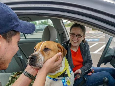 Shelter-Dog-Field Trips-PVAC-Tails-Around-Town-Coutesy-of-Palm-Valley-Animal-Center-2.jpg