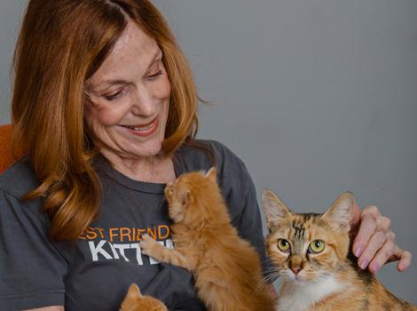 Volunteer-Connie-cat-kitten.jpg