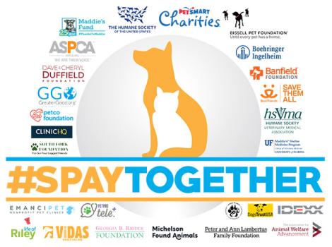 Blog-Spay-Together.jpg
