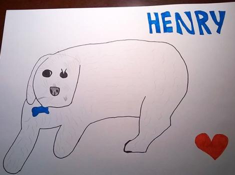 Pet-portraits-Henry.jpg