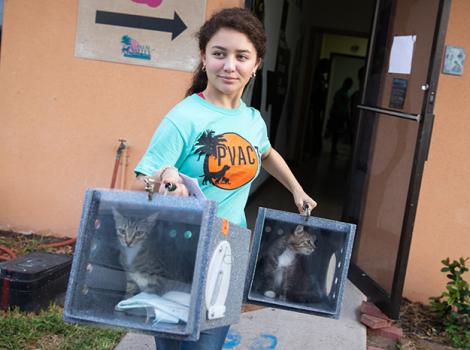 Release-cats-PalmValleyCCPVolunteer7689sak.jpg