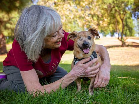 Senior-dog-adoption-LorraineJMinx2140LF.jpg