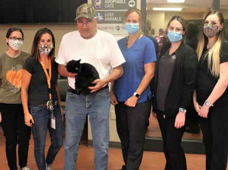 Cat-Miss-Corona-Courtesy-of-Stanislaus-Animal-Services-Agency-2.jpg