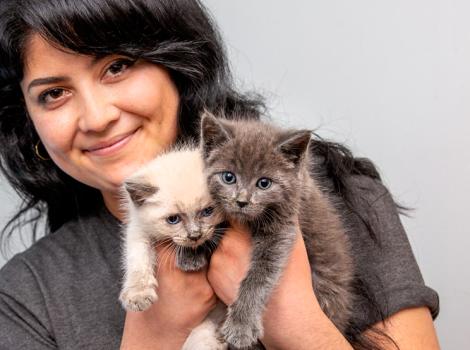 Smiling person holding two kittens, one mostly white and one gray