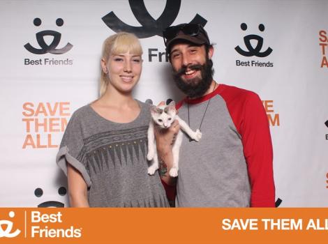 Pop-up adoption event