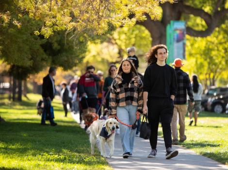Group of people and dogs walking on a path in Strut Your Mutt outside surrounded by trees and grass