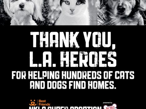 NKLA super adoption