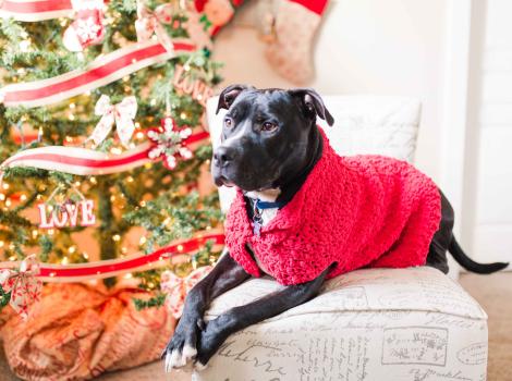 Patrick in foster home