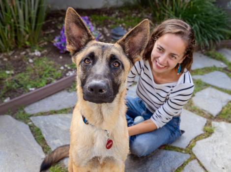 Abraxas the dog outside on pavers with a person sitting behind him