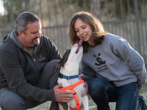 Bella the dog being adopted from Best Friends Animal Sanctuary