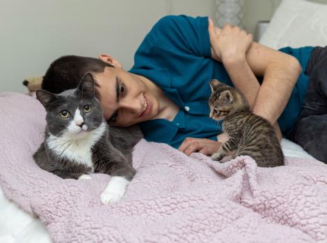 Young person lying down next to a cat and a kitten
