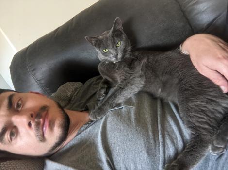 Esmerelda the cat lying on her person Chase