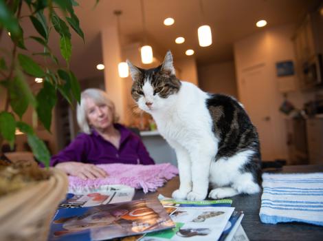 Woodrow the cat with Jane Brodziak in the background