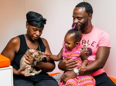 Family of three (including a toddler) looking to adopt a kitten