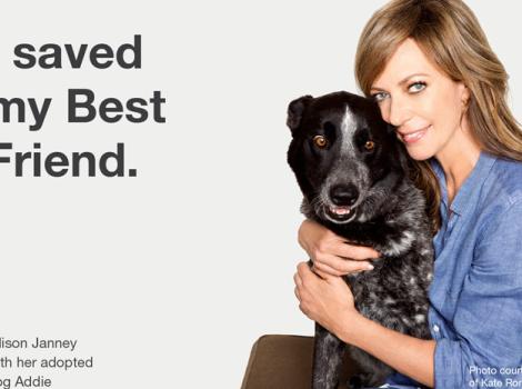 Allison Janney with her adopted dog Addie