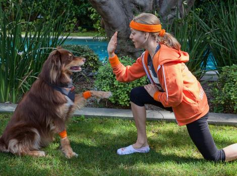 Amanda Seyfried, her dog Finn, and Chelsea Handler’s dog Chunk to raise funds and attend Strut Your Mutt