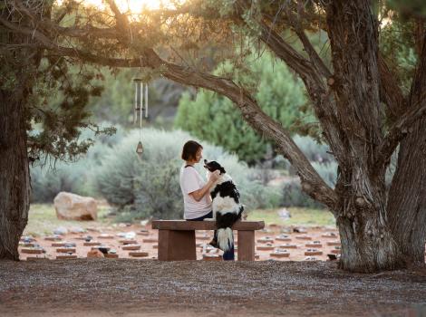 Person sitting on a bench with a dog at Angels Rest under a tree