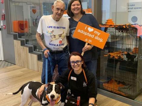 Dallas the dog getting adopted from the Best Friends Lifesaving Center in New York after being featured on Animal Planet