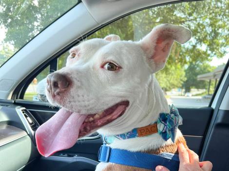 CrossFit Tony in the passenger seat of a car with a hand on him