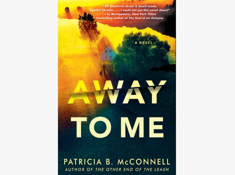 Cover of the book, 'Away to Me'