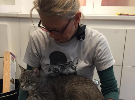 Debbie Guyer is a cat-focused volunteer at NKLA Pet Adoption Center.