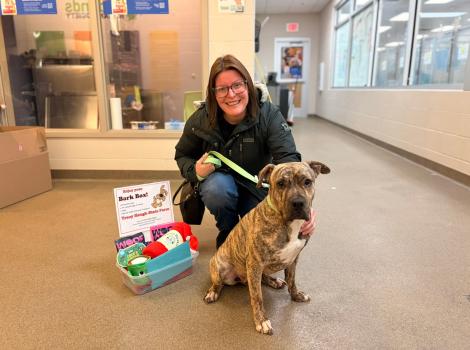 Lucy the dog with a person beside a Bark Box kit of supplies