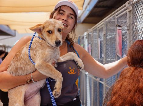 Smiling person holding a large puppy outside some dog kennels
