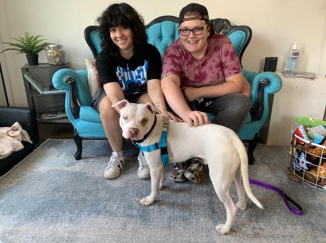 Two people sitting on a blue couch petting a large white dog