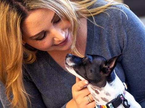 Person looking down at a small black and white dog in her lap, while the dog looks up at her