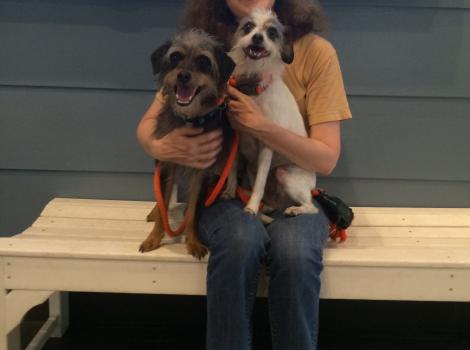 Volunteer Carolyn holding two small dogs