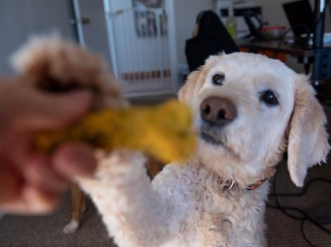 Activities while at home