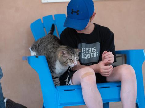 Big Papa the cat on a blue chair with a young volunteer wearing a hat