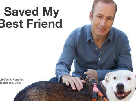 Bob Odenkirk with his adopted dog Olive