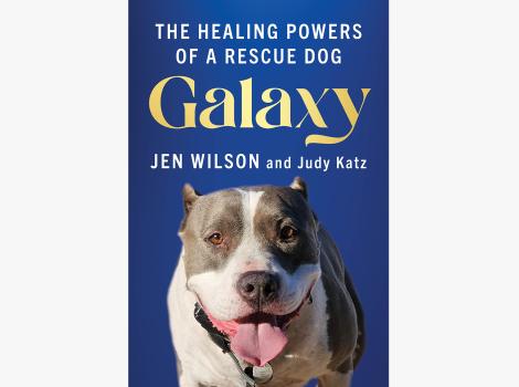 Cover of the book, 'Galaxy: The Healing Powers of a Rescue Dog'