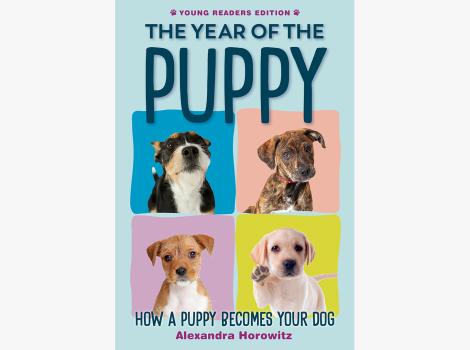 Cover of the book, "The Year of the Puppy: How a Puppy Becomes Your Dog"