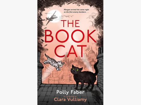 Cover of the book, 'The Book Cat'