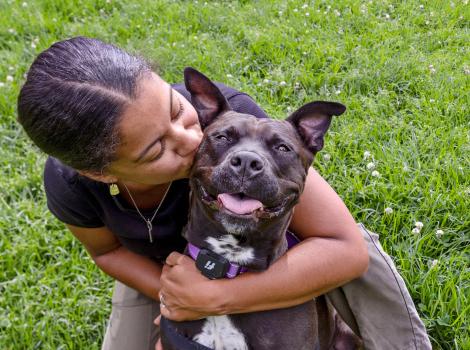 Person hugging a smiling pit-bull-type dog