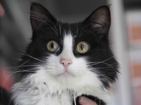 Selenium test image - create