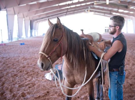 Equine trainer Christian Mathews putting a saddle on Byron the mustang