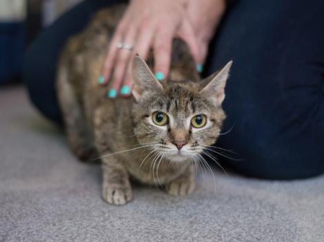 Sweet Cammy, now Camille