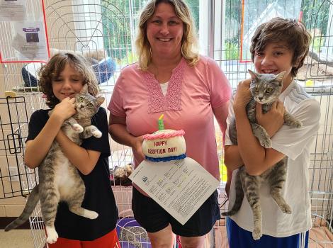 Family adopting two cats