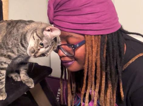 Monesia head bumping Autumn the gray tabby cat