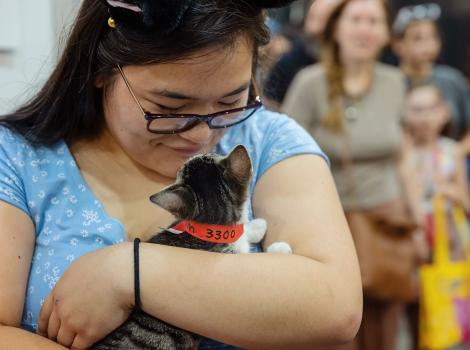 Smiling person cradling a tabby kitten in her arms
