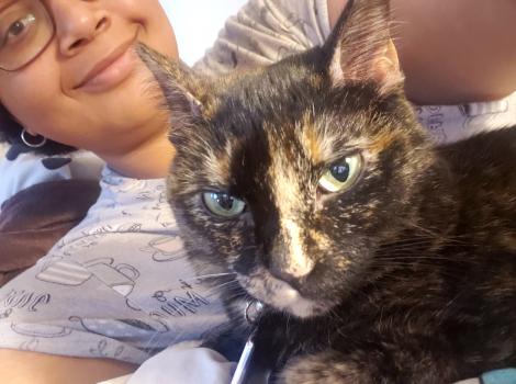 Peanut Butter the tortoiseshell cat with Jasmine behind her